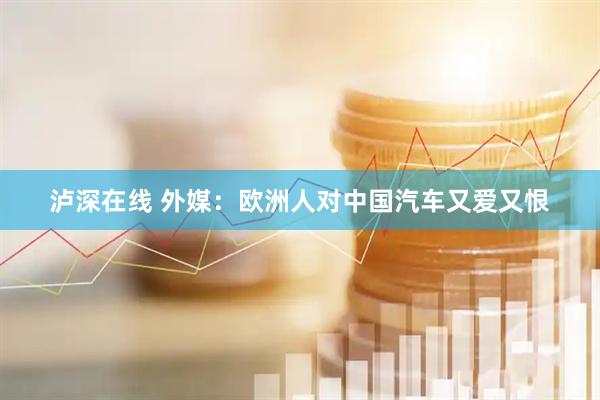 泸深在线 外媒：欧洲人对中国汽车又爱又恨